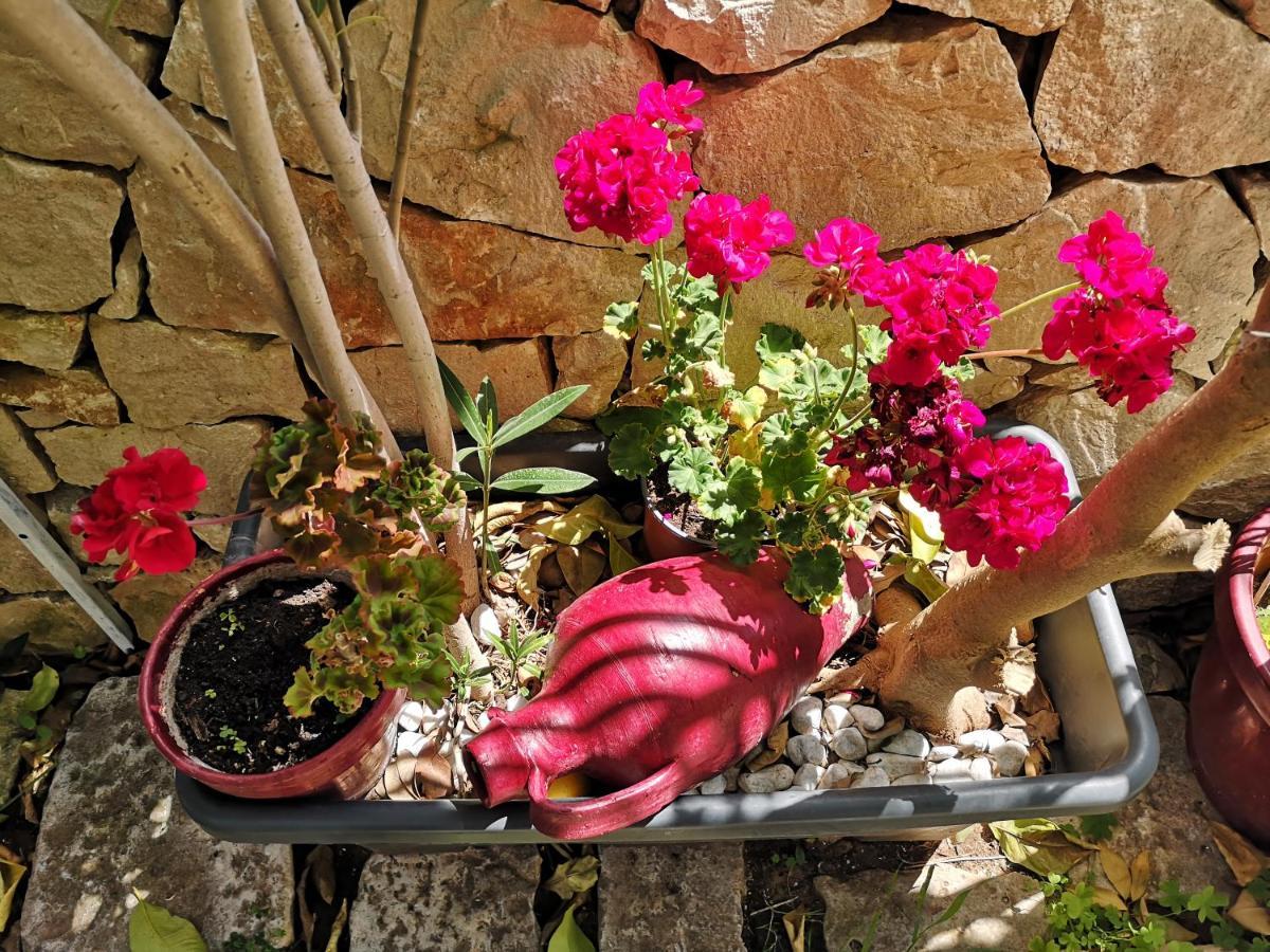 Holiday home Il Giardino Dei Sospiri